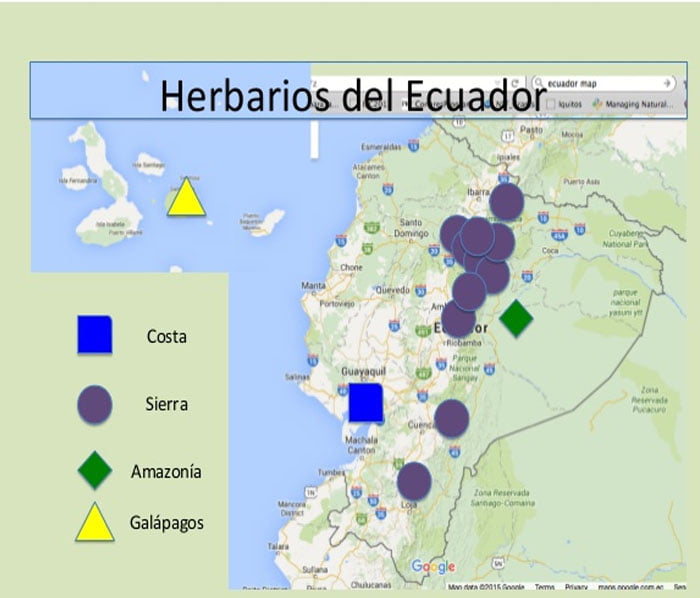 Herbarios y Museos de Historia Natural del  Ecuador