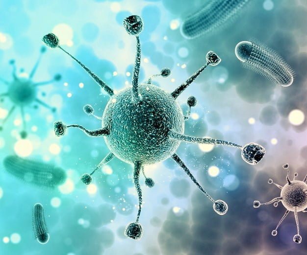 virus y su entorno