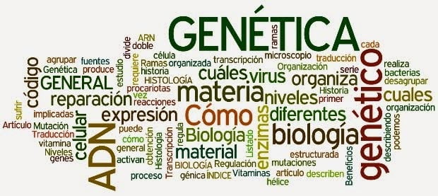 Las Jornadas  Nacionales de  Biología: una ventana a las investigaciones biológicas en el Ecuador