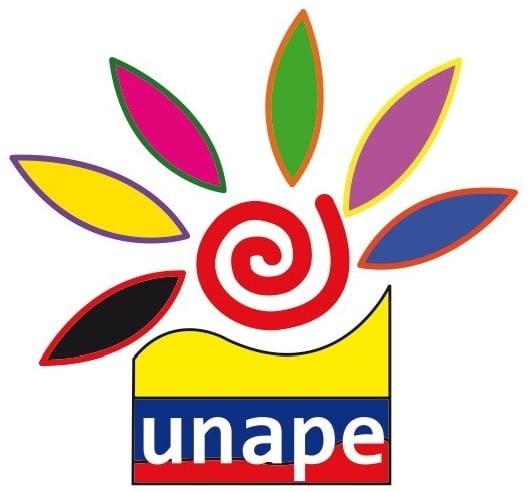 logotipo de la UNAPE - Periódico Opción