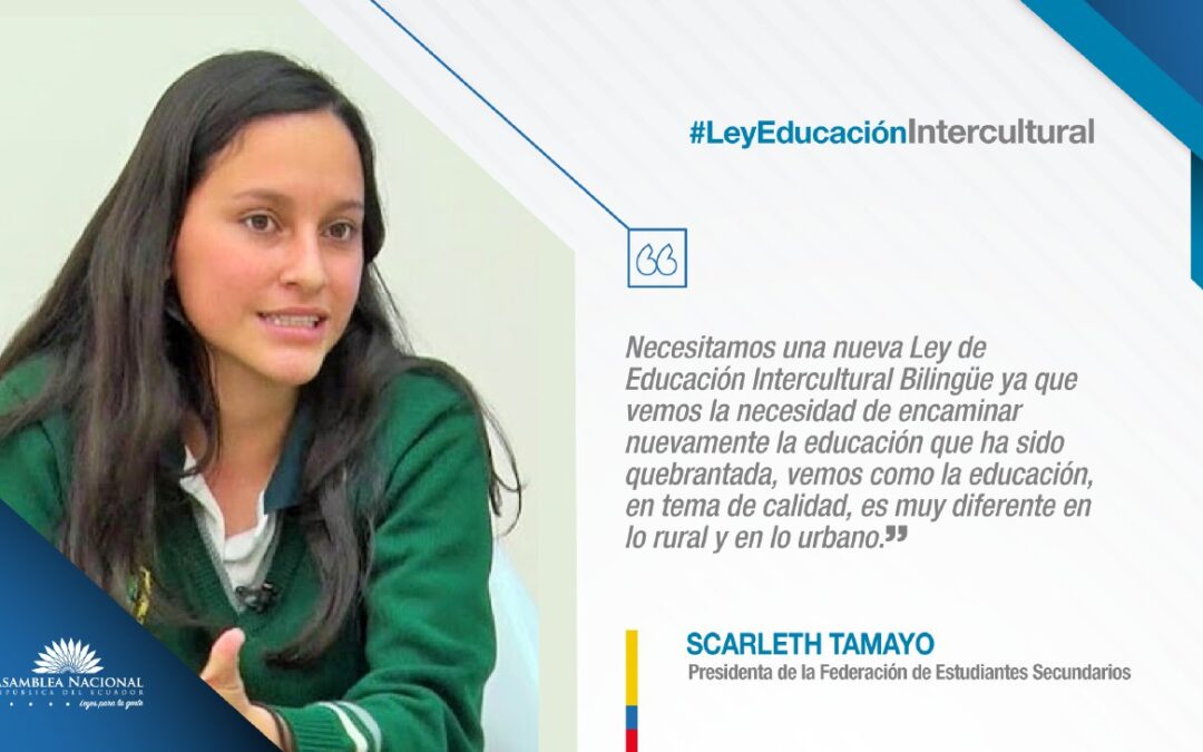 La Educación en peligro