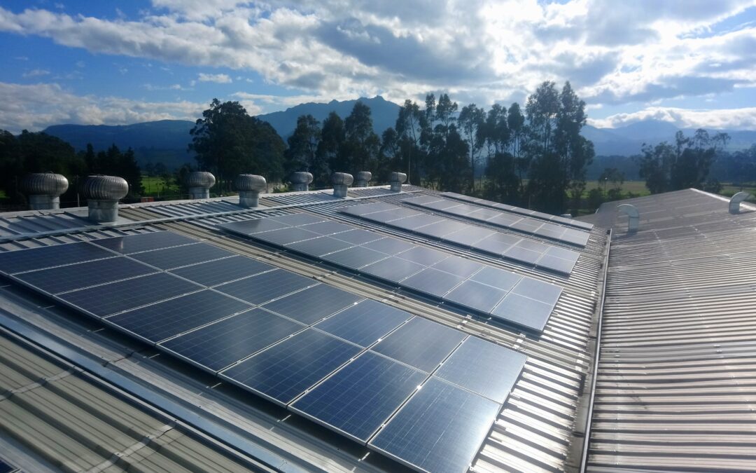 Llega el momento de la neutralidad de carbono en Ecuador