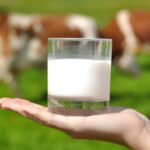 Un millón de vasos de leche, ¿solución de la desnutrición infantil?